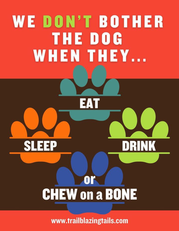 Let them be 🐶