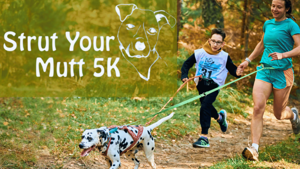 Woman and Child running with Dalmation